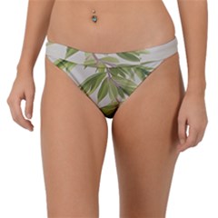 Watercolor Leaves Branch Nature Plant Growing Still Life Botanical Study Band Bikini Bottoms