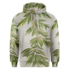 Watercolor Leaves Branch Nature Plant Growing Still Life Botanical Study Men s Overhead Hoodie by Posterlux