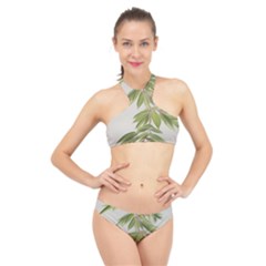 Watercolor Leaves Branch Nature Plant Growing Still Life Botanical Study High Neck Bikini Set by Posterlux