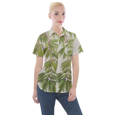 Watercolor Leaves Branch Nature Plant Growing Still Life Botanical Study Women s Short Sleeve Pocket Shirt by Posterlux