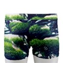 Pine Moon Tree Landscape Nature Scene Stars Setting Night Midnight Full Moon Men s Boxer Briefs View4