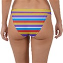 Stripes Pattern Design Lines Band Bikini Bottoms View2