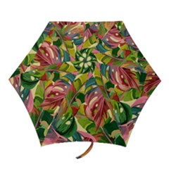 Monstera Colorful Leaves Foliage Mini Folding Umbrellas