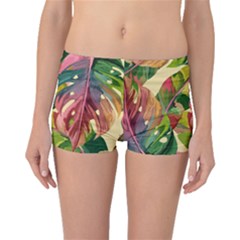 Monstera Colorful Leaves Foliage Boyleg Bikini Bottoms