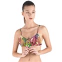 Monstera Colorful Leaves Foliage Tie Up Cut Bikini Top View1