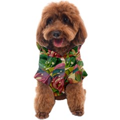 Monstera Colorful Leaves Foliage Dog Coat