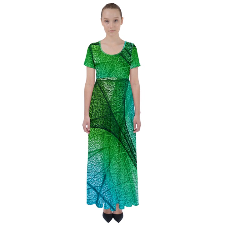 3d Leaves Texture Sheet Blue Green High Waist Short Sleeve Maxi Dress