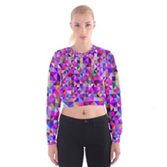 Floor Colorful Triangle Cropped Sweatshirt