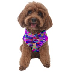 Floor Colorful Triangle Dog Sweater