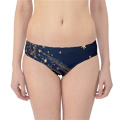 Starsstar Glitter Hipster Bikini Bottoms by Maspions