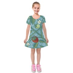 Spring Time Kids  Short Sleeve Velvet Dress