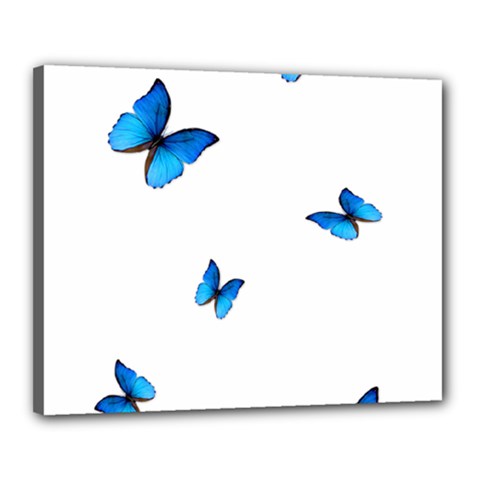 Butterfly-blue-phengaris Canvas 20  x 16  (Stretched)