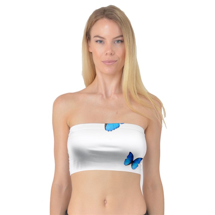 Butterfly-blue-phengaris Bandeau Top