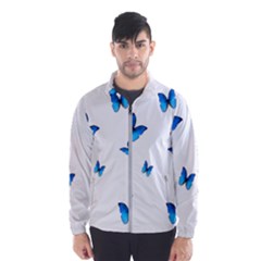 Butterfly-blue-phengaris Men s Windbreaker