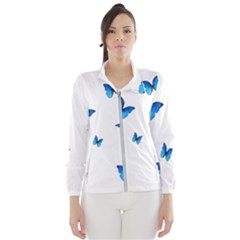 Butterfly-blue-phengaris Women s Windbreaker