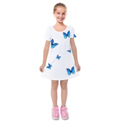 Butterfly-blue-phengaris Kids  Short Sleeve Velvet Dress