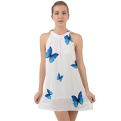 Butterfly-blue-phengaris Halter Tie Back Chiffon Dress