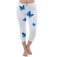 Butterfly-blue-phengaris Capri Winter Leggings 