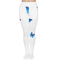 Butterfly-blue-phengaris Tights