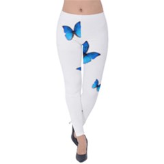 Butterfly-blue-phengaris Velvet Leggings by saad11