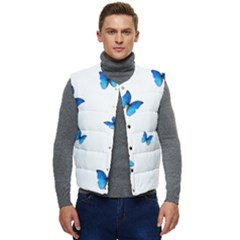 Butterfly-blue-phengaris Men s Button Up Puffer Vest	