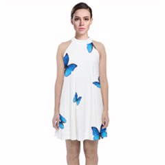 Butterfly-blue-phengaris Velvet Halter Neckline Dress 