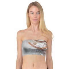 Boho Background Leaves Botanical Bandeau Top