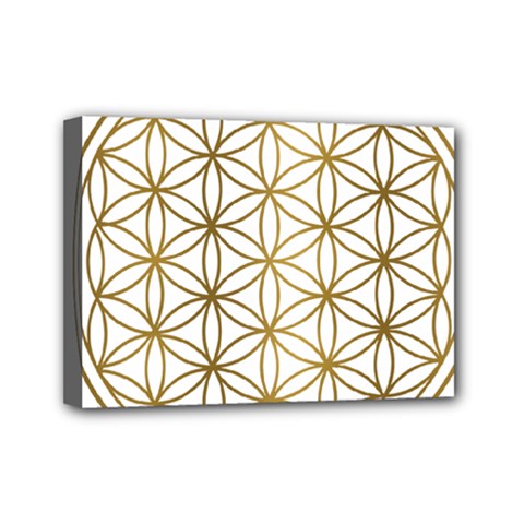 Gold Flower Of Life Sacred Geometry Mini Canvas 7  X 5  (stretched) by Maspions