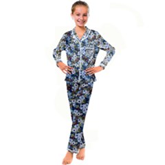 Blue Flowers Blue Flowers 2 Kids  Satin Long Sleeve Pajamas Set by DinkovaArt