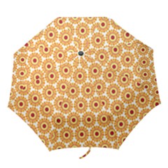 Pattern Shape Design Art Drawing Folding Umbrellas