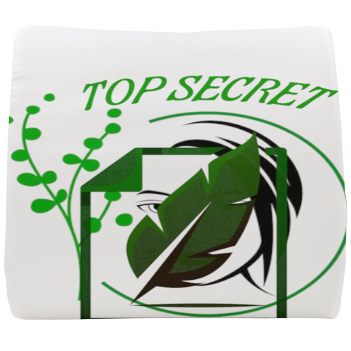 Top Secret Seat Cushion