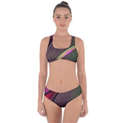 Texture Abstract Curve  Pattern Red Criss Cross Bikini Set by Proyonanggan