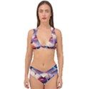 Cute Puppy With Flowers Double Strap Halter Bikini Set View1