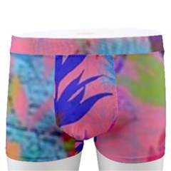 Pink And Blue Floral Men s Boxer Briefs