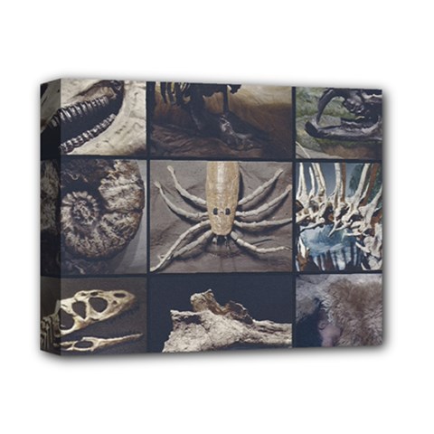 Paleontology Museum Pieces Photo Colllage Deluxe Canvas 14  X 11  (stretched) by dflcprintsclothing