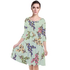 Berries Flowers Pattern Print Quarter Sleeve Waist Band Dress