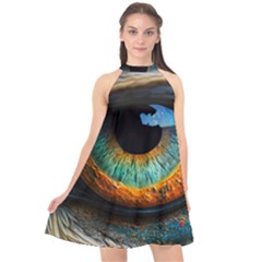 Eye Bird Feathers Vibrant Halter Neckline Chiffon Dress  by Hannah976