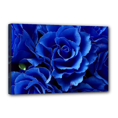 Blue Roses Flowers Plant Romance Blossom Bloom Nature Flora Petals Canvas 18  X 12  (stretched) by Proyonanggan