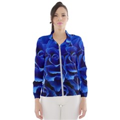 Blue Roses Flowers Plant Romance Blossom Bloom Nature Flora Petals Women s Windbreaker