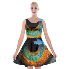 Eye Bird Feathers Vibrant Velvet Skater Dress