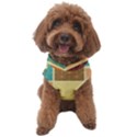 Square Cube Shape Colourful Dog Sweater View1