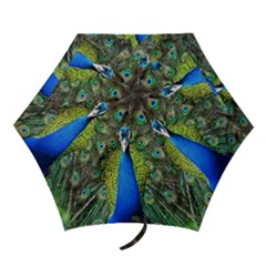 Peacock Bird Feathers Pheasant Nature Animal Texture Pattern Mini Folding Umbrellas