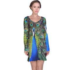 Peacock Bird Feathers Pheasant Nature Animal Texture Pattern Long Sleeve Nightdress by Bedest