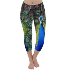 Peacock Bird Feathers Pheasant Nature Animal Texture Pattern Capri Winter Leggings  by Bedest