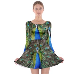 Peacock Bird Feathers Pheasant Nature Animal Texture Pattern Long Sleeve Skater Dress by Bedest