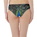 Peacock Bird Feathers Pheasant Nature Animal Texture Pattern Hipster Bikini Bottoms View2