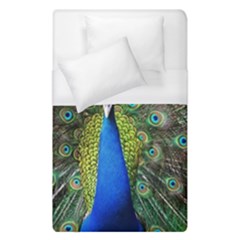 Peacock Bird Feathers Pheasant Nature Animal Texture Pattern Duvet Cover (single Size) by Bedest