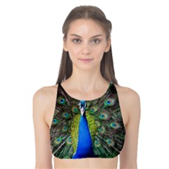 Peacock Bird Feathers Pheasant Nature Animal Texture Pattern Tank Bikini Top by Bedest