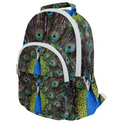 Peacock Bird Feathers Pheasant Nature Animal Texture Pattern Rounded Multi Pocket Backpack by Bedest