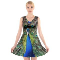 Peacock Bird Feathers Pheasant Nature Animal Texture Pattern V-neck Sleeveless Dress by Bedest